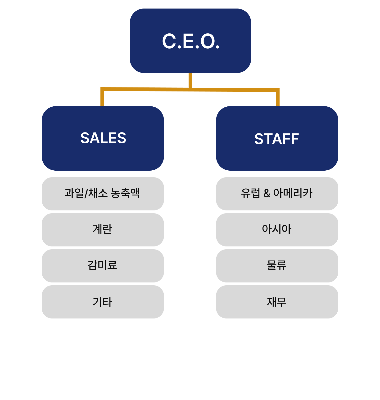 영신코리아 조직도 모바일 버전